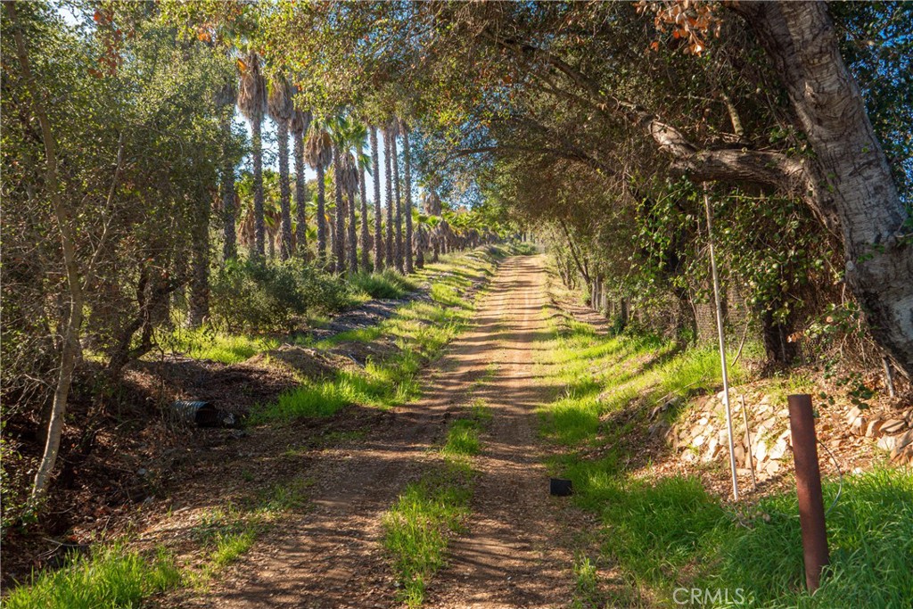 0 Sandia Creek Property Photo 5