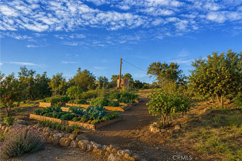 32805 Red Mountain Property Photo 24