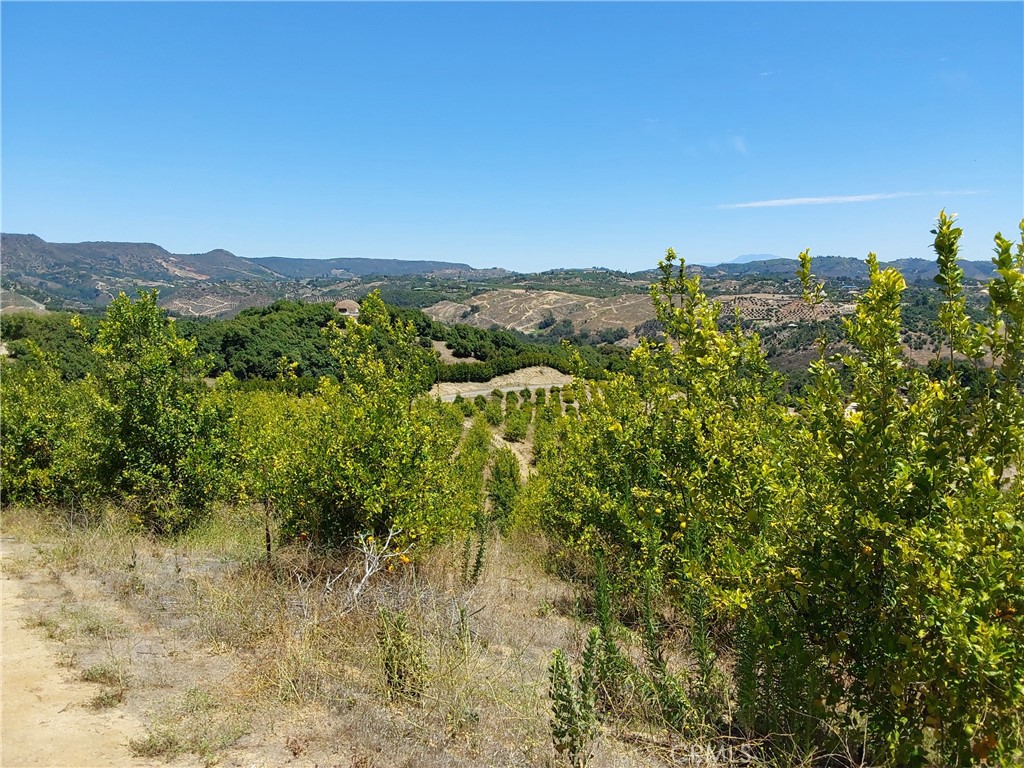 5 De Anza Road Property Photo 11