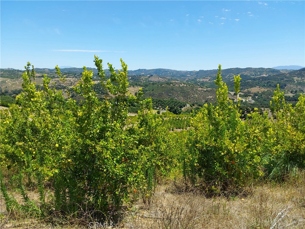 5 De Anza Road Property Photo 12