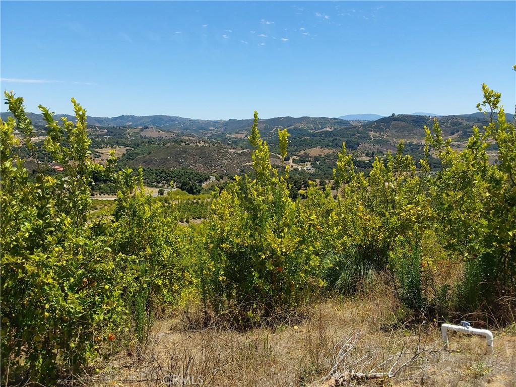5 De Anza Road Property Photo 13
