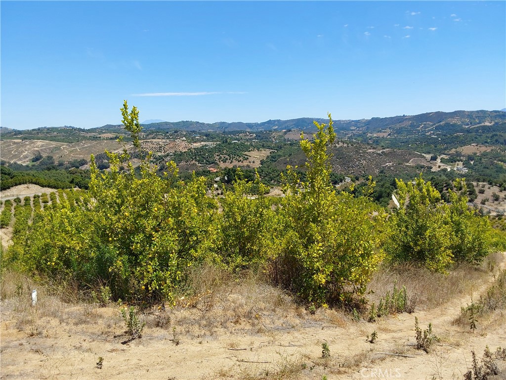 5 De Anza Road Property Photo 15