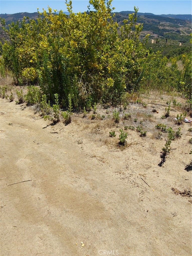 5 De Anza Road Property Photo 19
