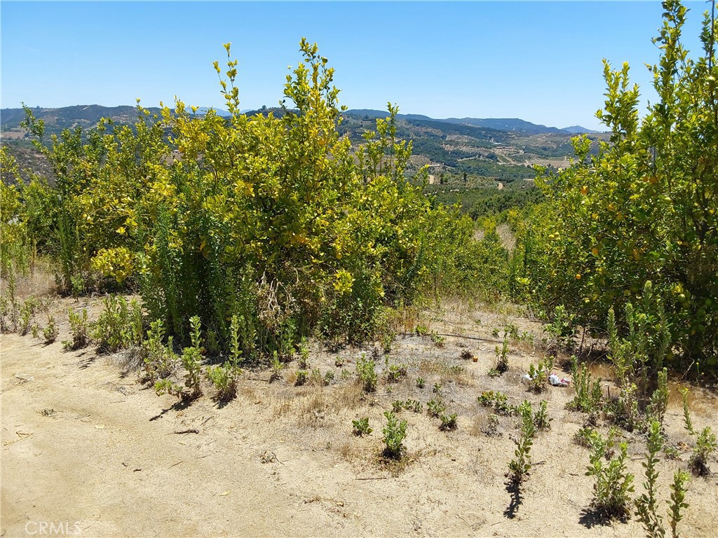 5 De Anza Road Property Photo 20