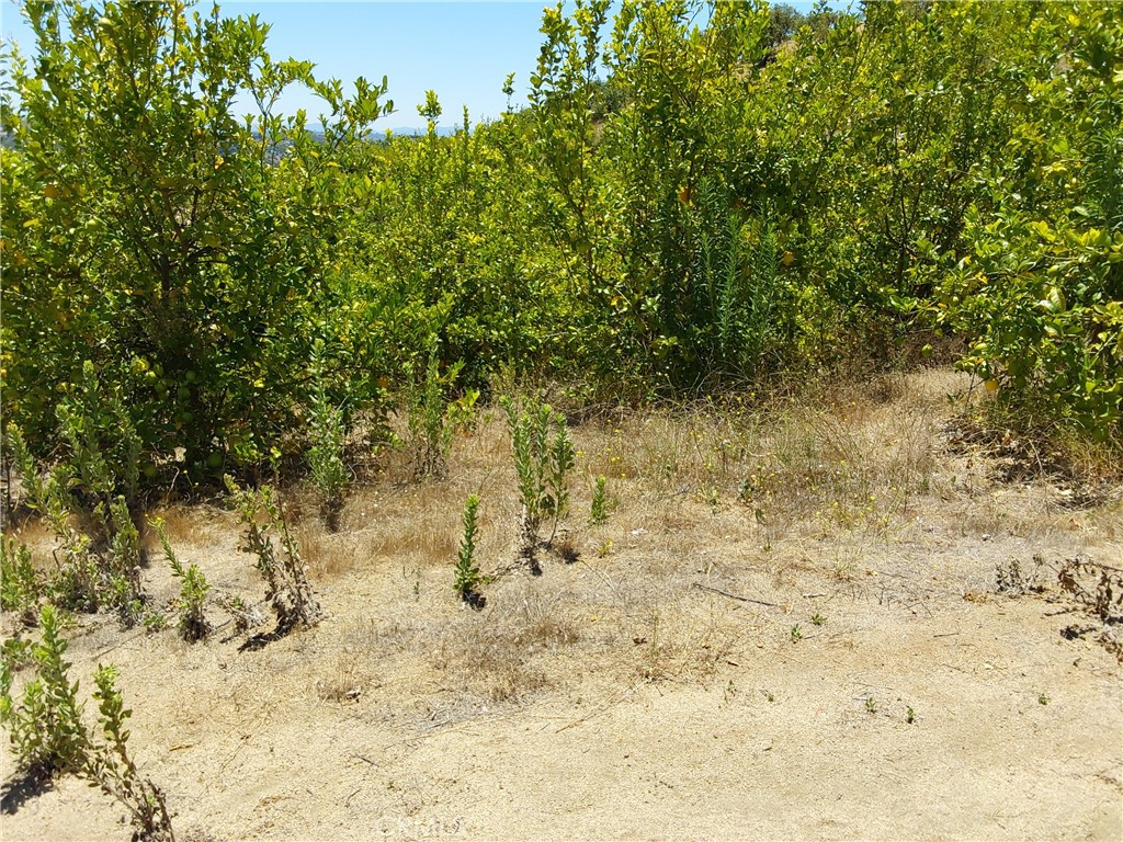 5 De Anza Road Property Photo 21