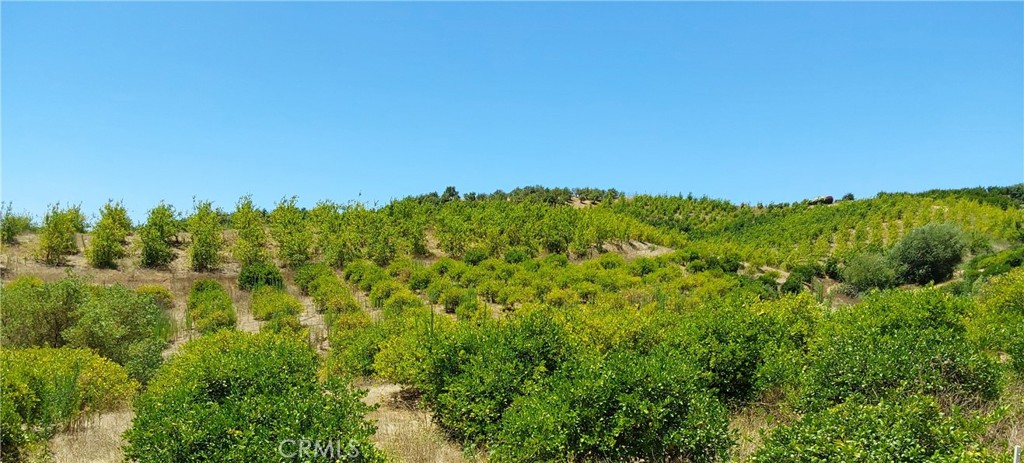 5 De Anza Road Property Photo 28