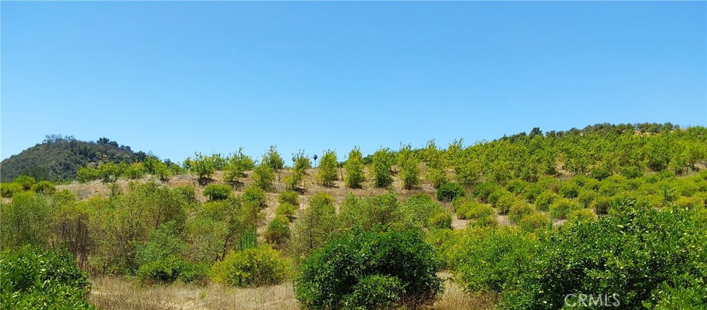 5 De Anza Road Property Photo 31