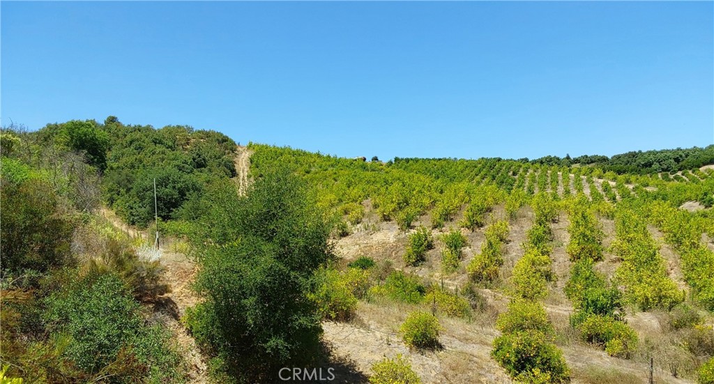 5 De Anza Road Property Photo 33