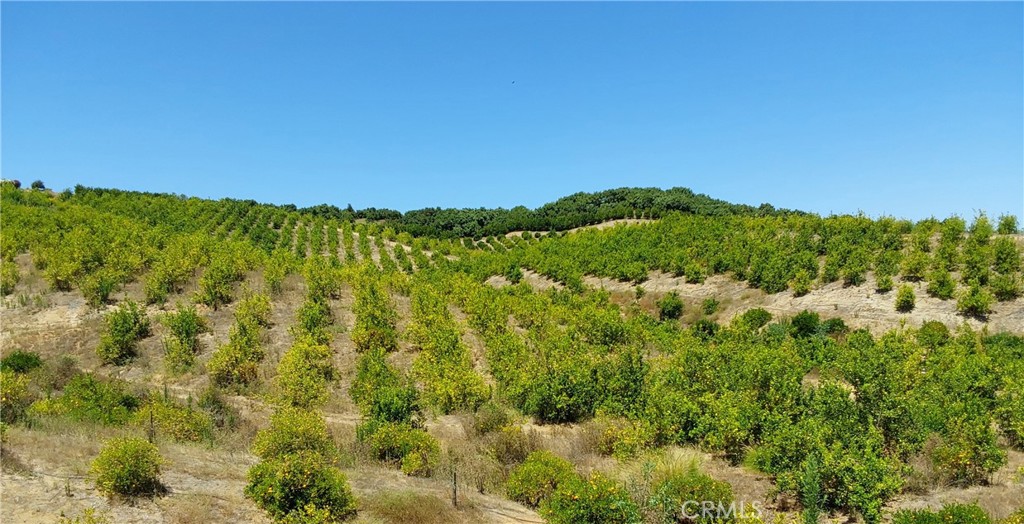 5 De Anza Road Property Photo 35