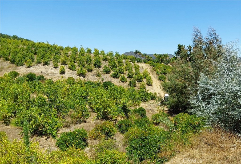 5 De Anza Road Property Photo 38