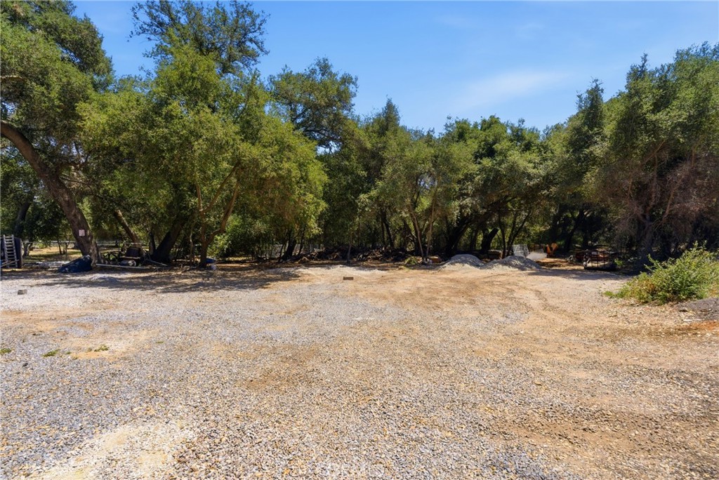 17358 Highway 67 Property Photo 58