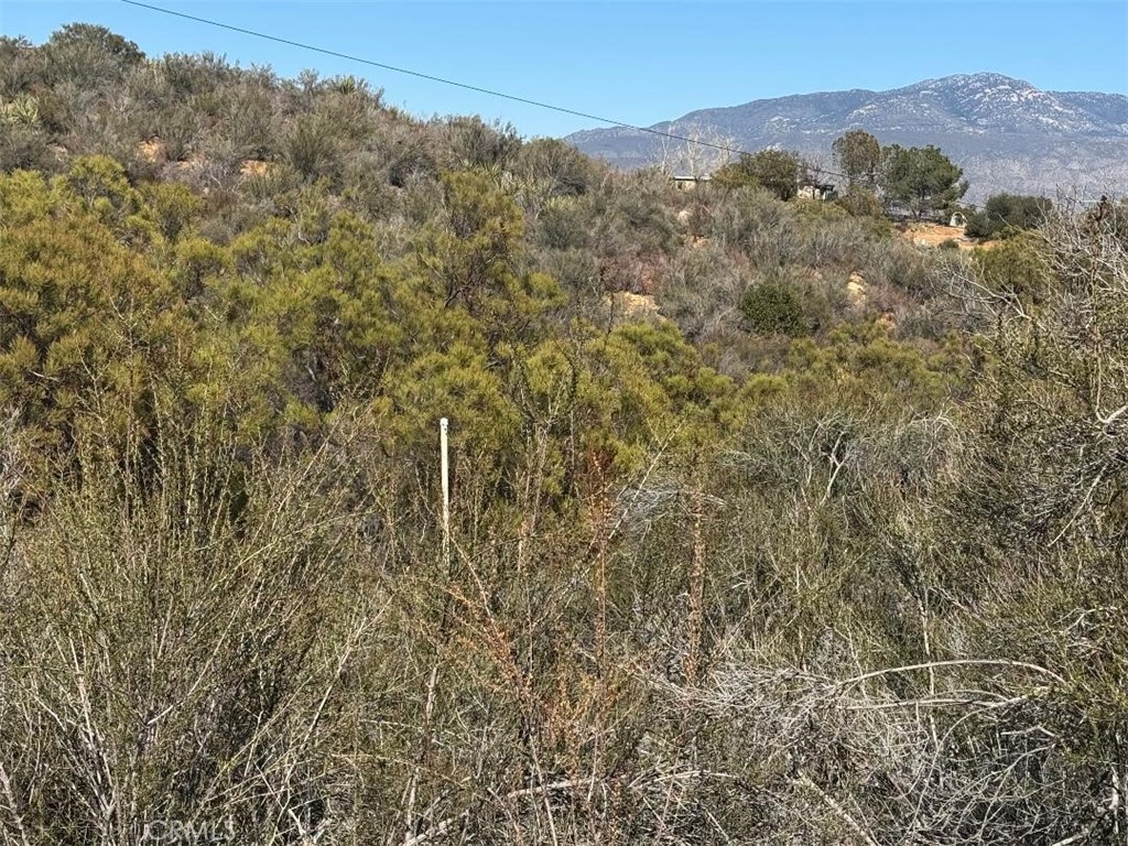 0 Trails End Property Photo 24