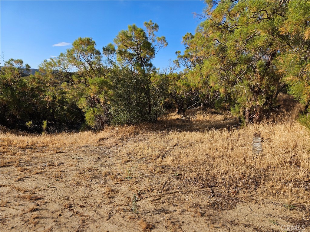 59600 Burnt Valley Road Property Photo 20