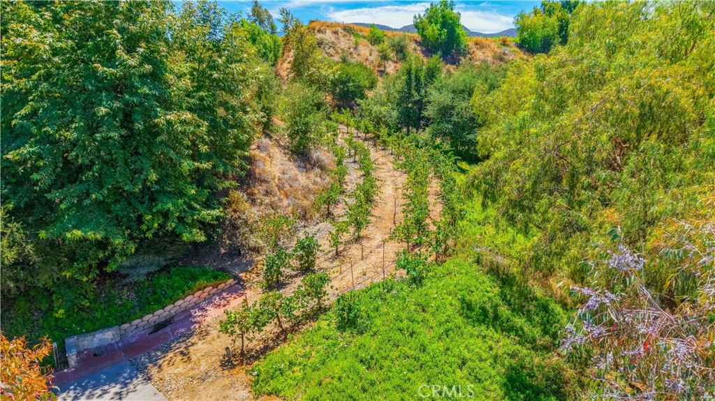 38831 Pauba Property Photo 51