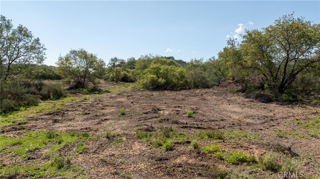44660 Tortuga Road Property Photo 16