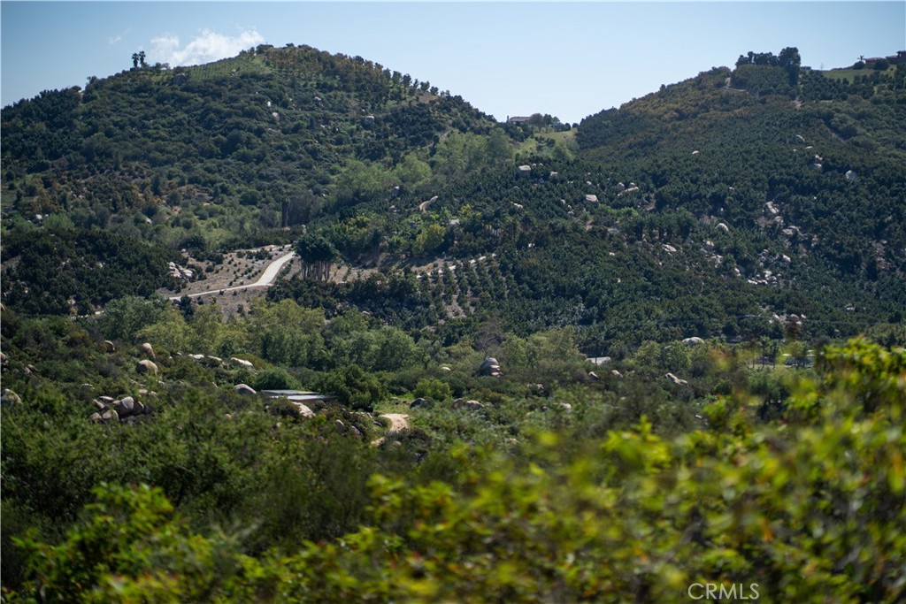 44660 Tortuga Road Property Photo 19