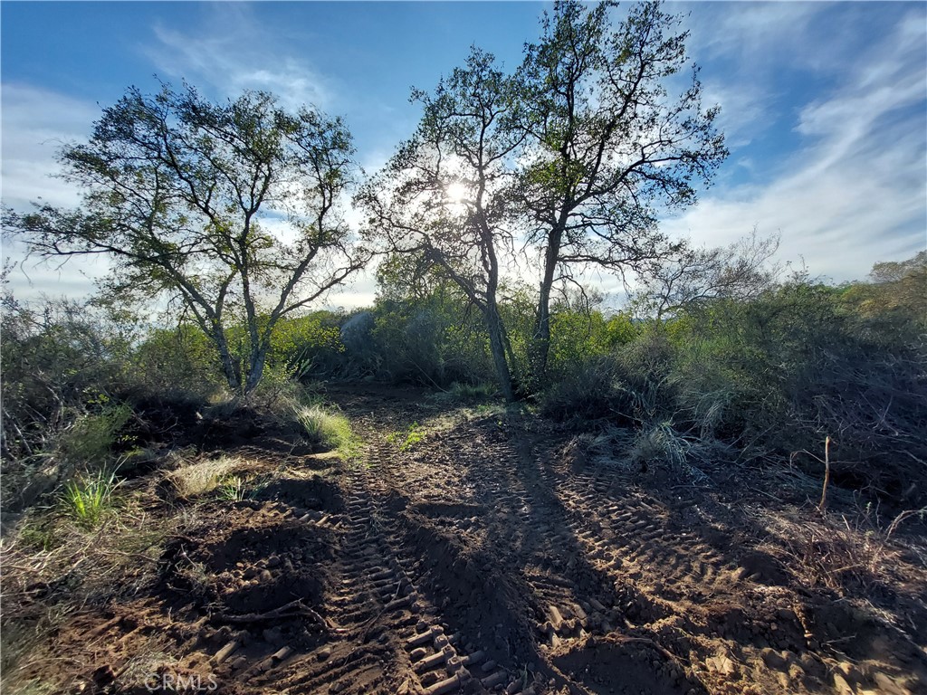 44660 Tortuga Road Property Photo 26