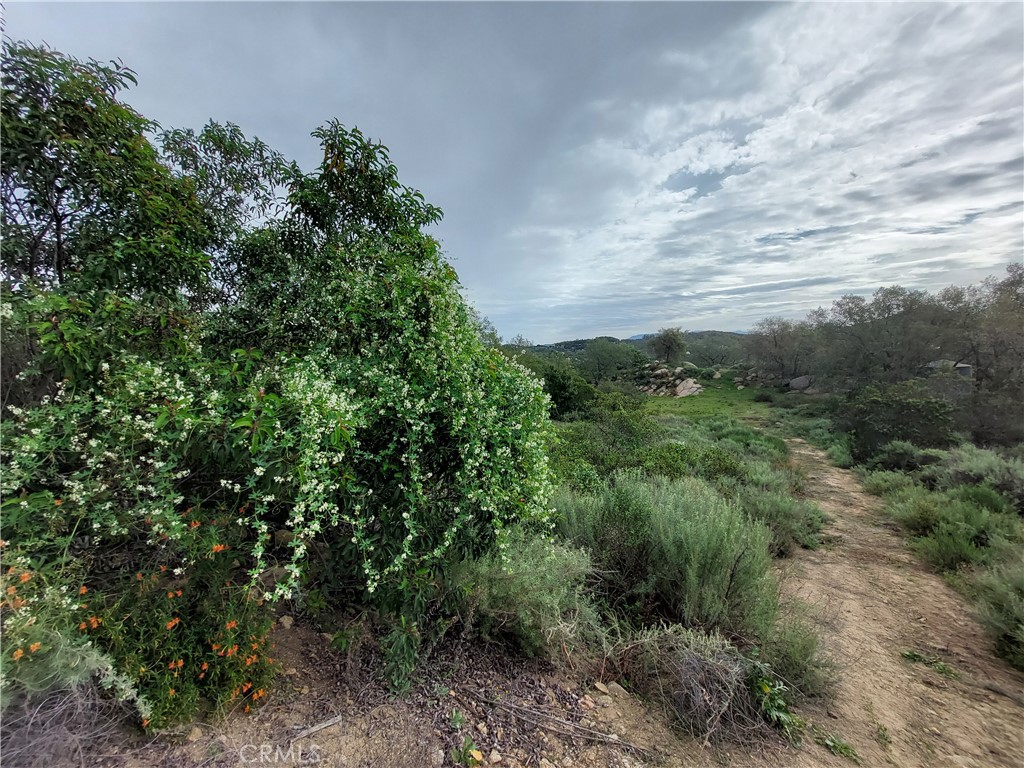 44660 Tortuga Road Property Photo 27