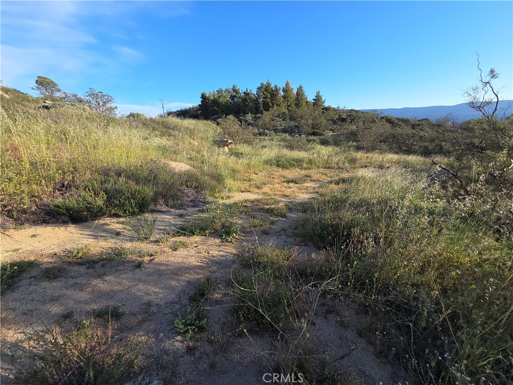 1007 Roan Way Property Photo 1