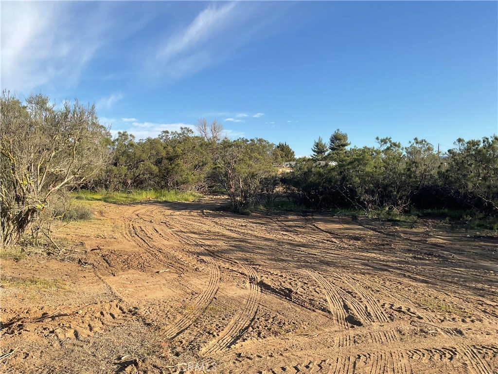 687 Saddleback Drive Property Photo 3