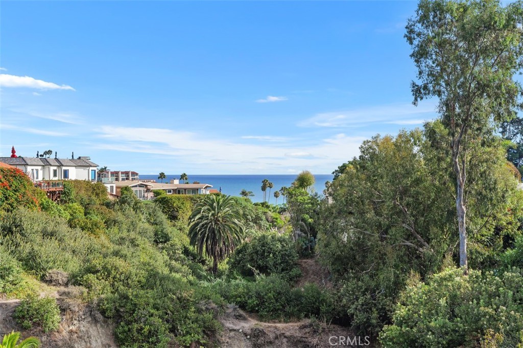 237 W Avenida Alessandro Property Photo 3