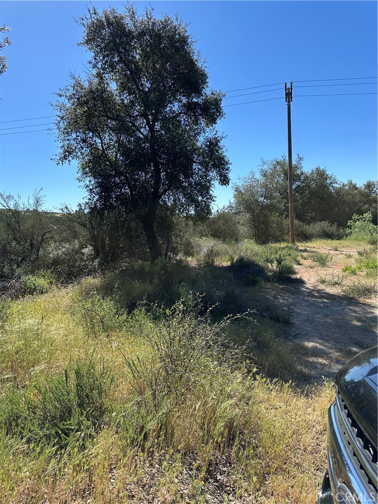 0 Red Mountain Road Property Photo 5