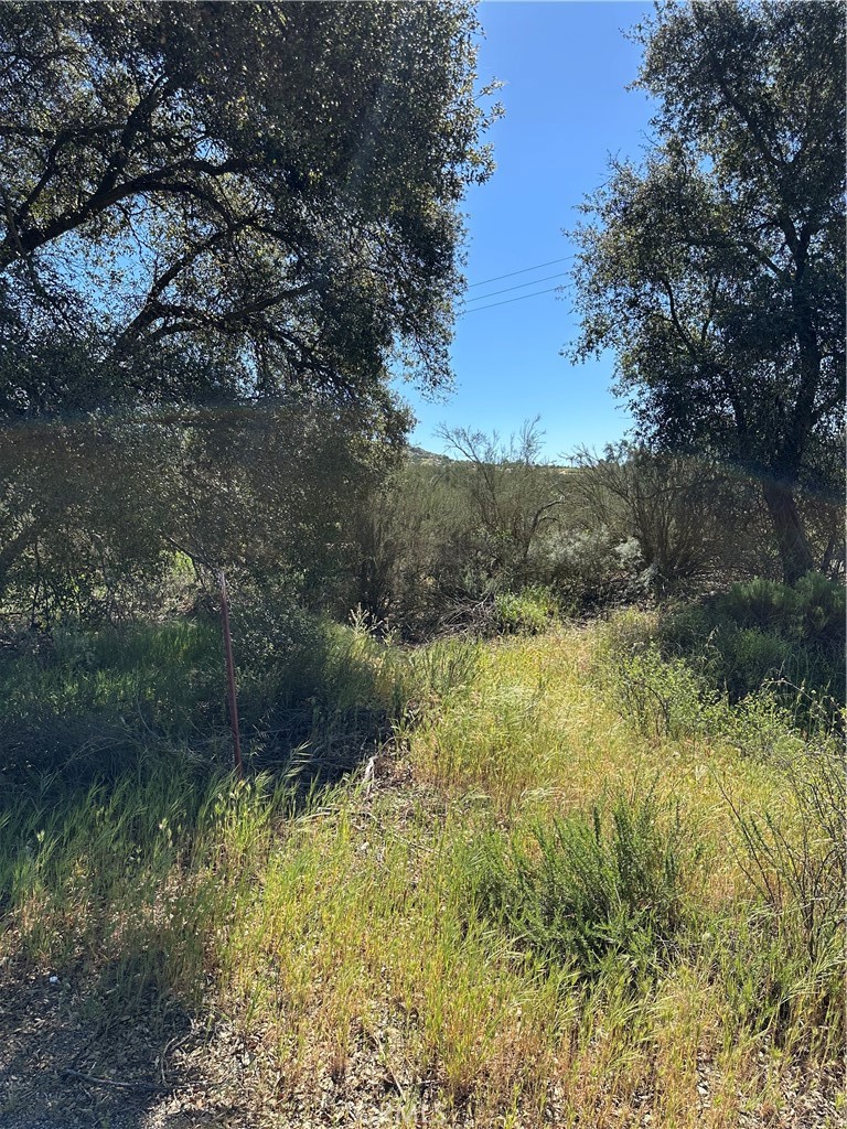 0 Red Mountain Road Property Photo 7