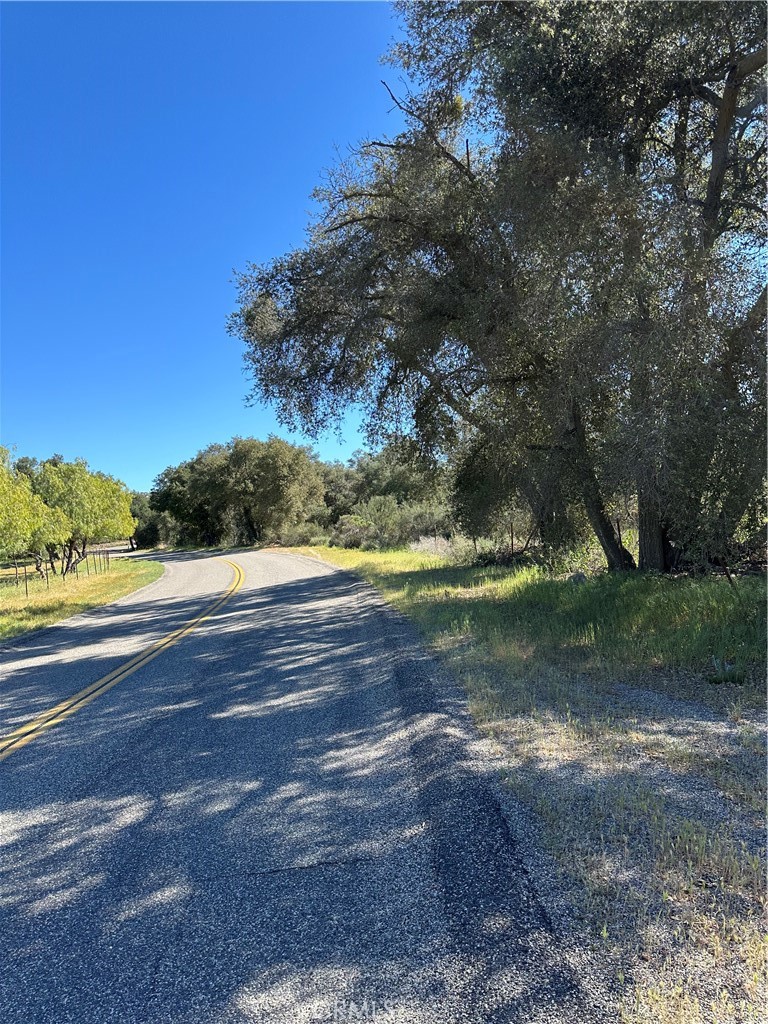 0 Red Mountain Road Property Photo 8