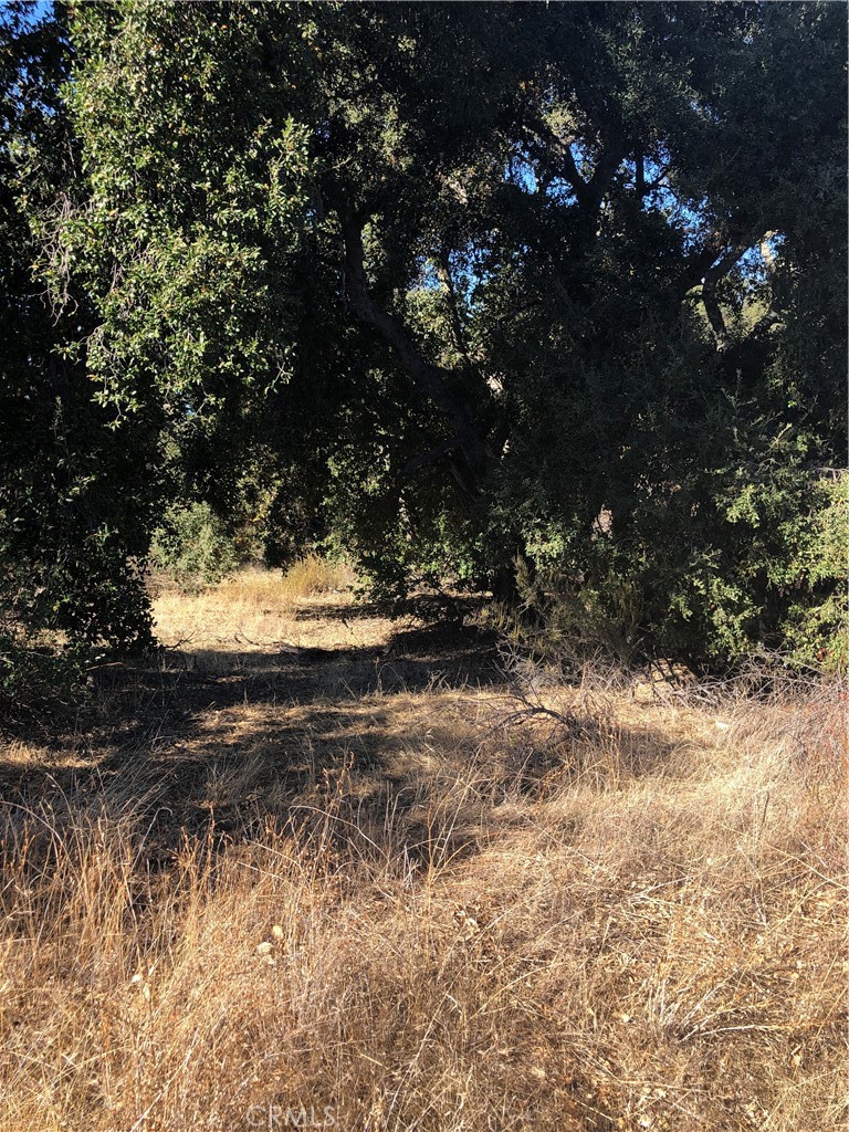 0 Red Mountain Road Property Photo 9