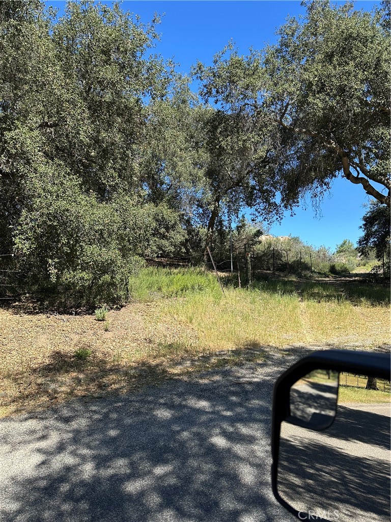 0 Red Mountain Road Property Photo 10