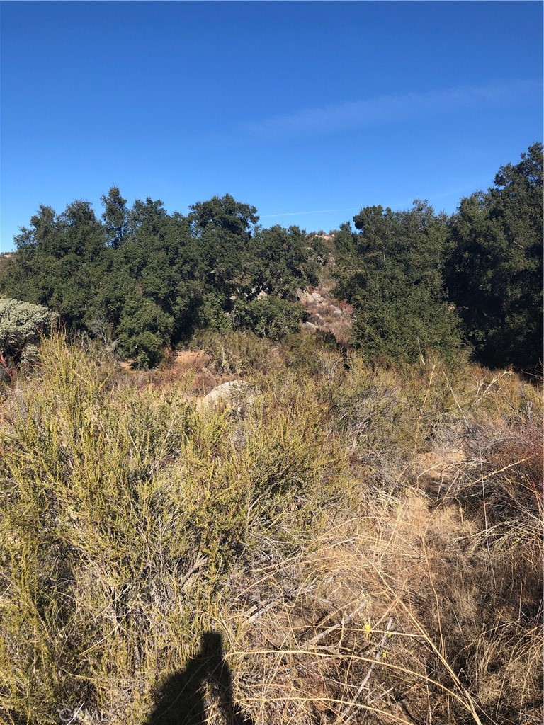 0 Red Mountain Road Property Photo 12