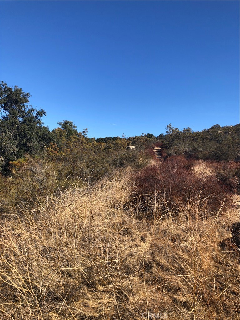 0 Red Mountain Road Property Photo 14