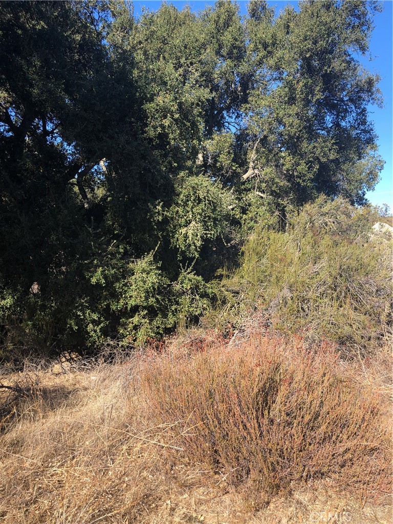 0 Red Mountain Road Property Photo 15