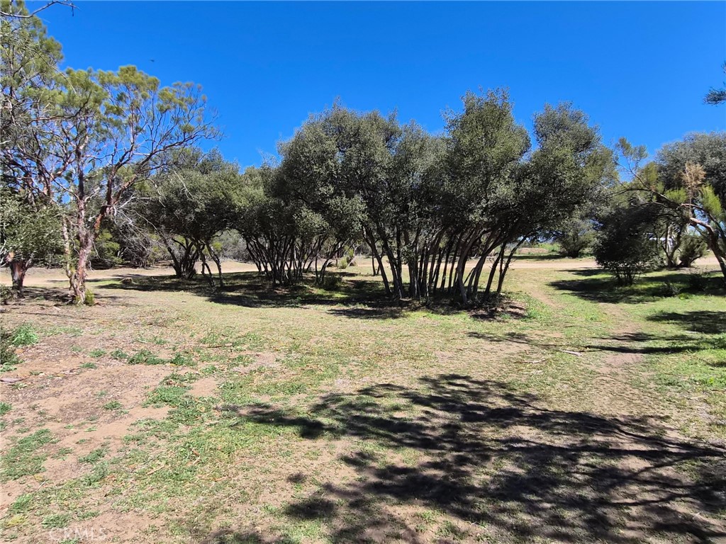 38295 Indian Road Property Photo 2