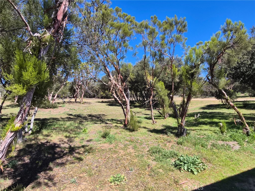 38295 Indian Road Property Photo 3