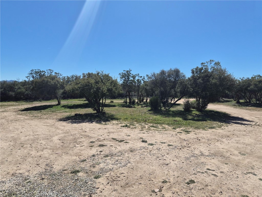 38295 Indian Road Property Photo 9