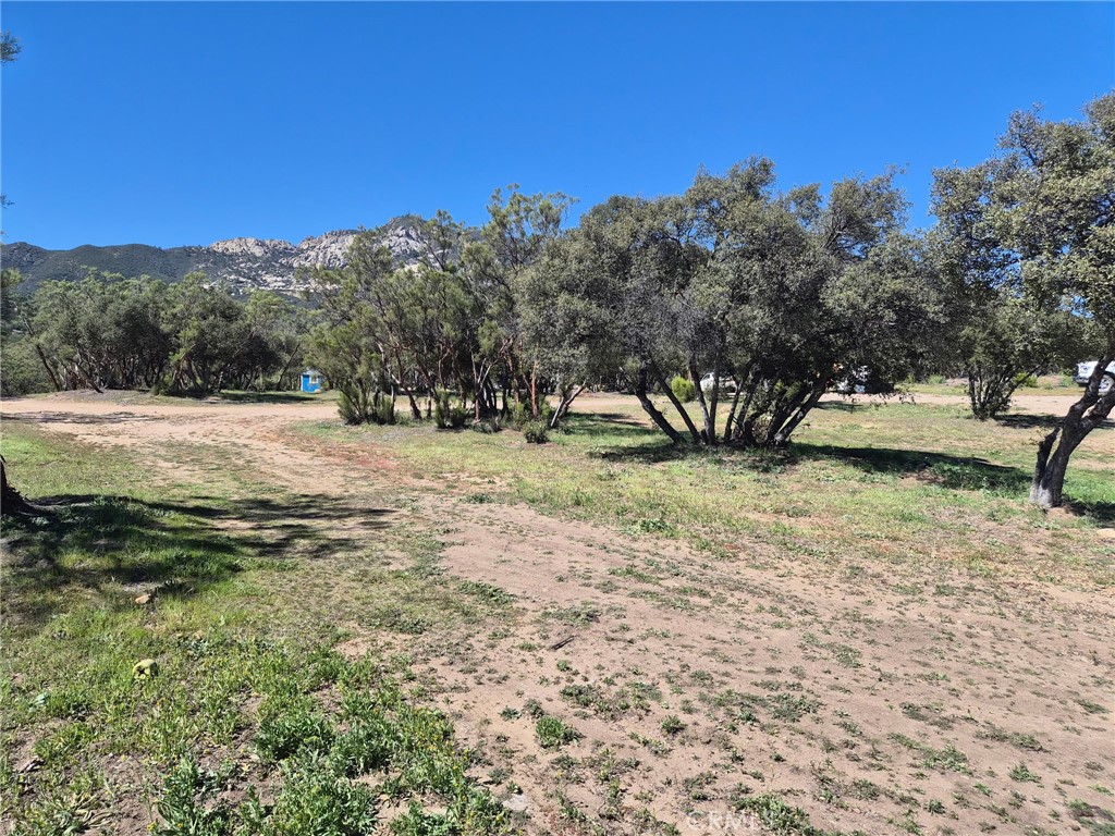 38295 Indian Road Property Photo 10