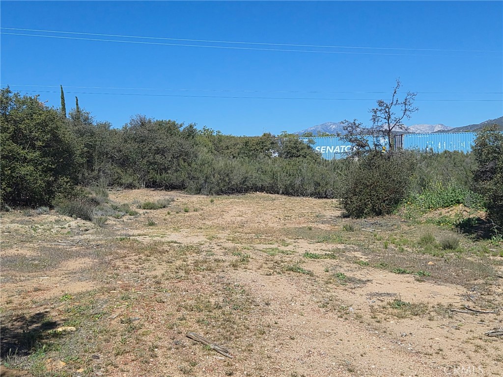 38295 Indian Road Property Photo 33