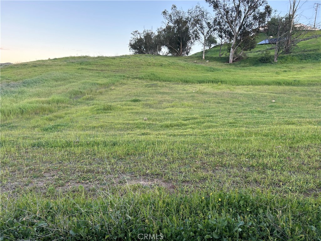 0 Miller Street Property Photo 3