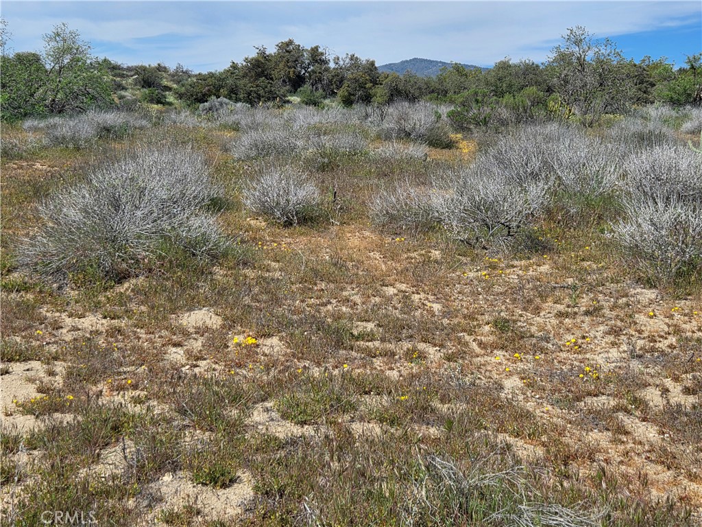5 Fletcher Property Photo 6