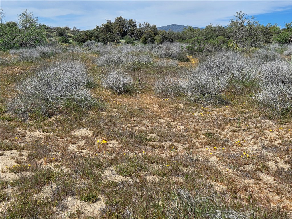 4 Fletcher Property Photo 2