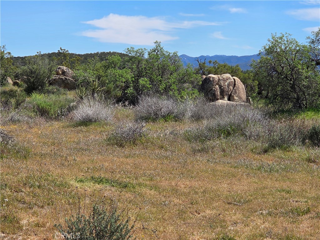 3 Fletcher Property Photo 4