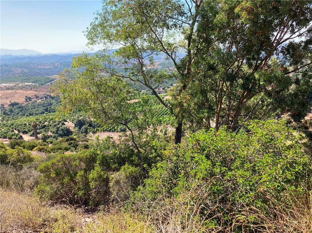 37 El Calamar Road Property Photo 4