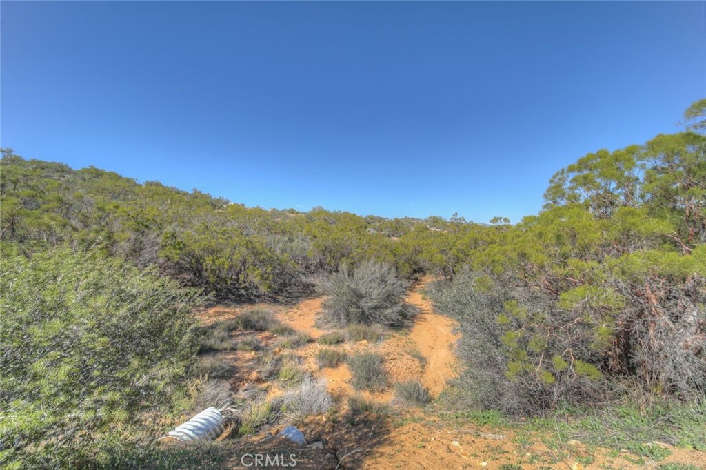 0 Trails End Property Photo 3