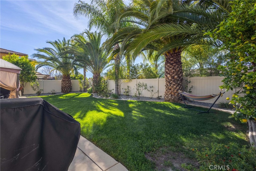35385 Summerholly Lane Property Photo 48