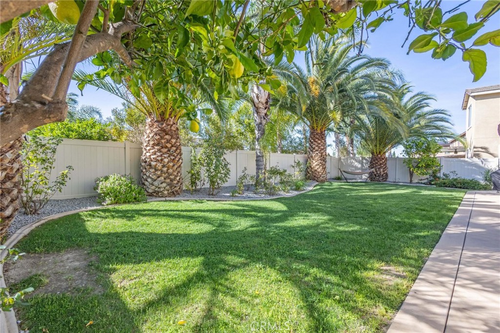 35385 Summerholly Lane Property Photo 52