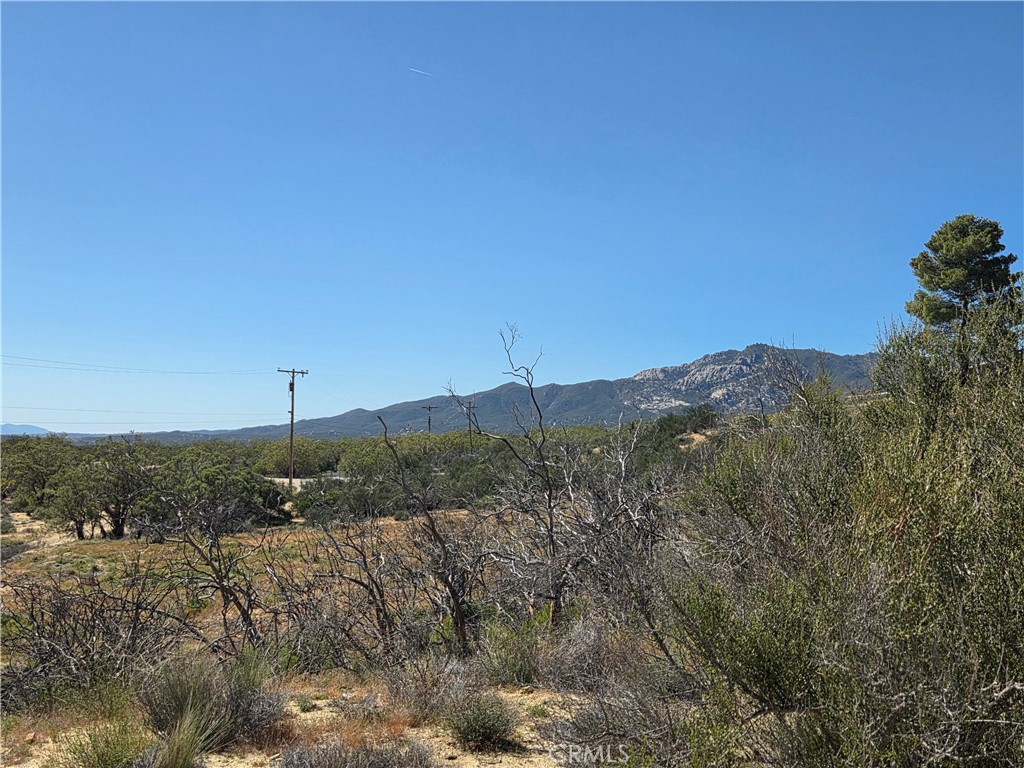 0 Howard Property Photo 3