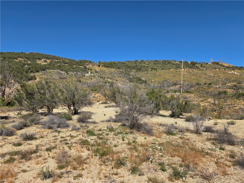 0 Howard Property Photo 4