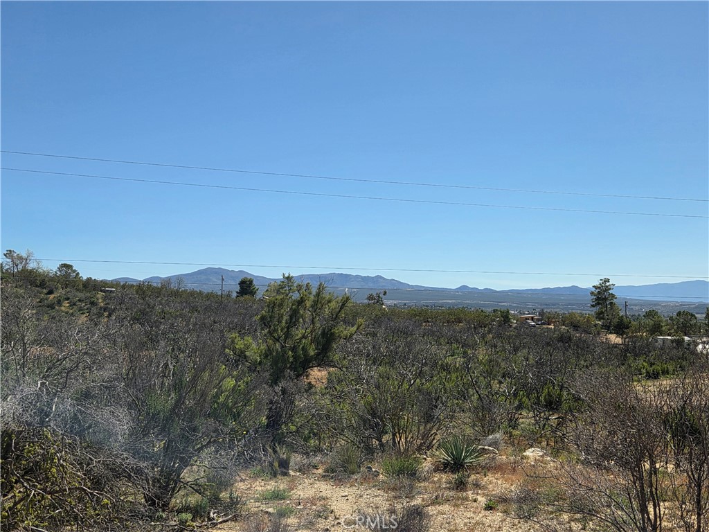 0 Howard Property Photo 6
