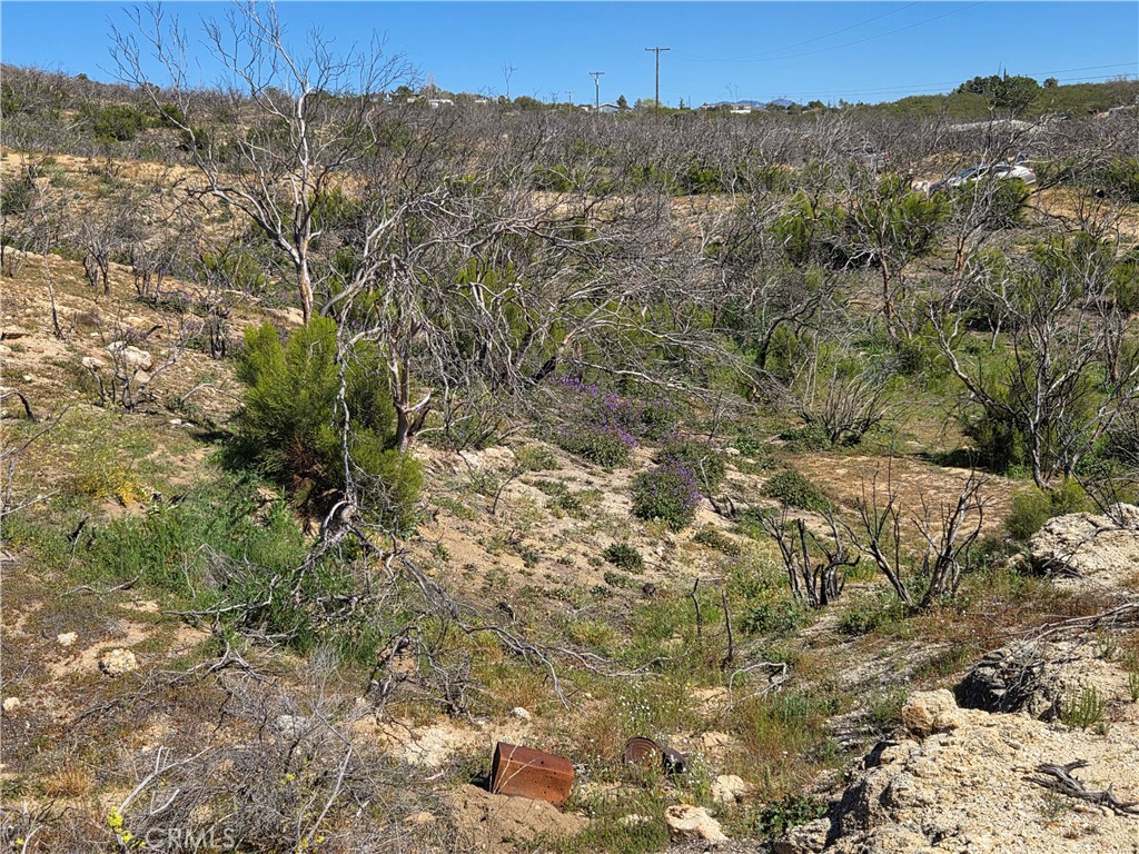 0 Howard Property Photo 7